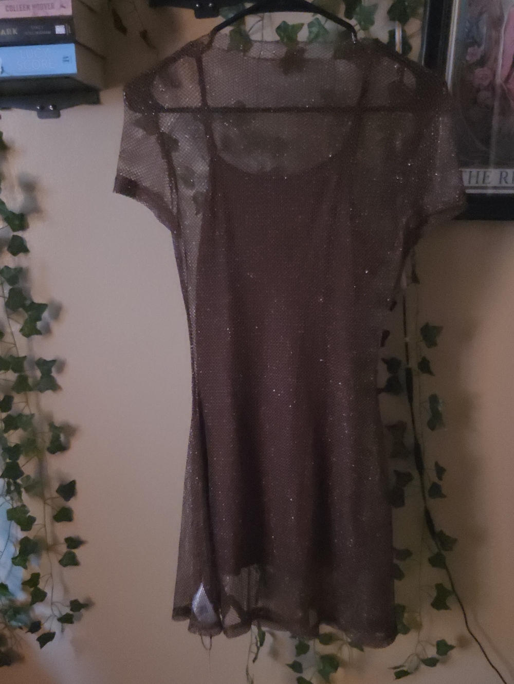 Cider Brown Sparkle Mesh A-Line Dress